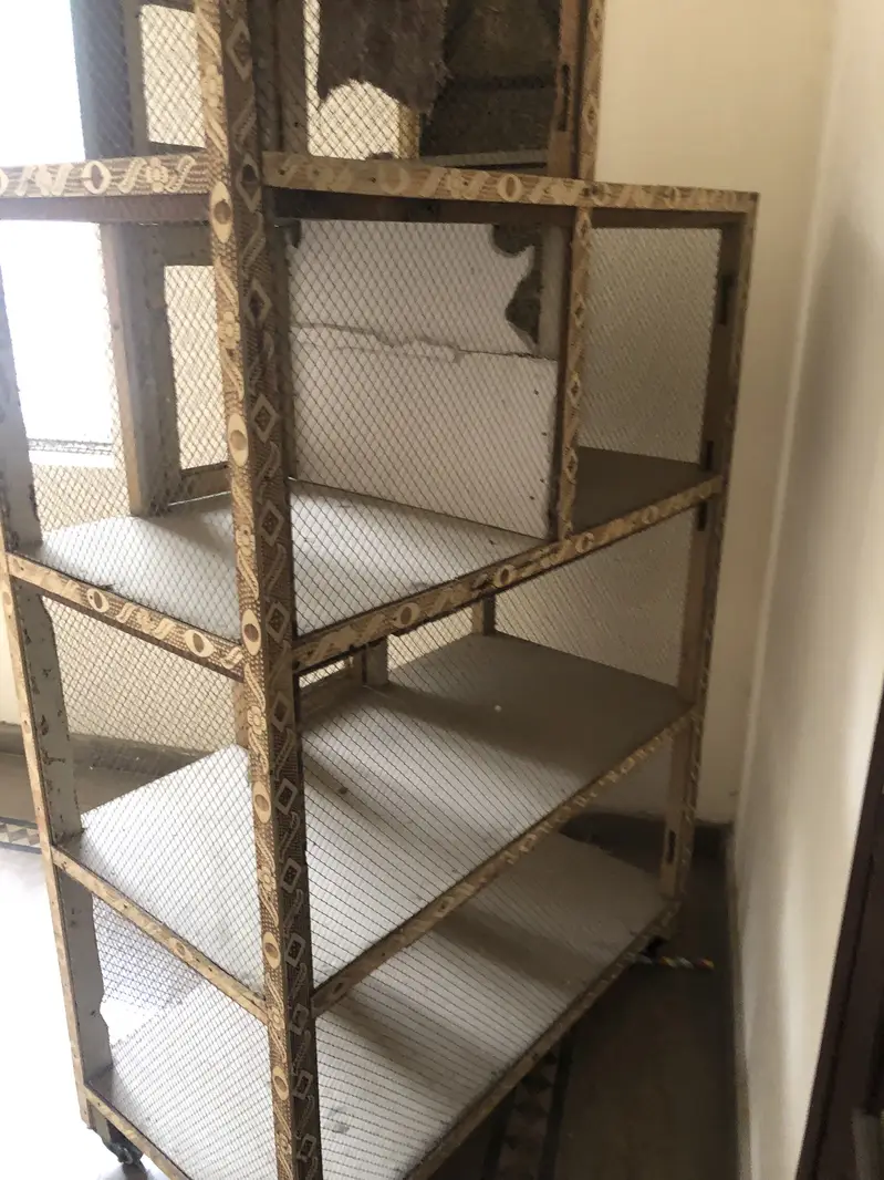 Birds cage — photo 2