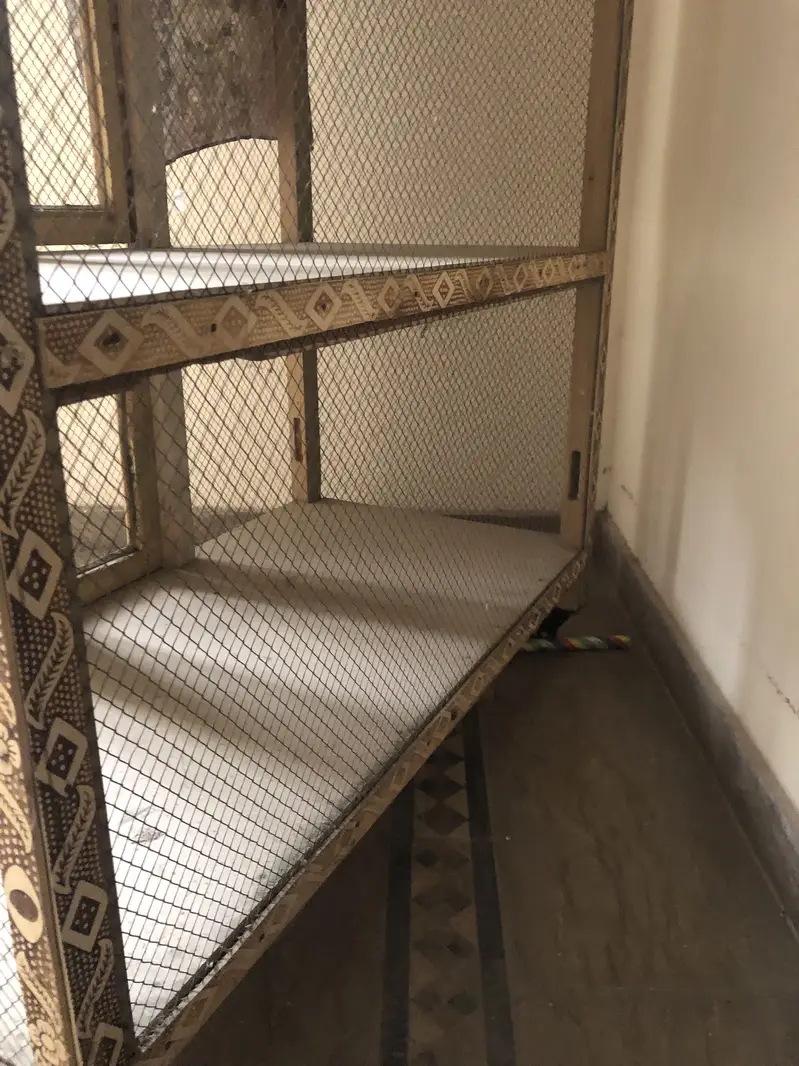Birds cage — photo 3