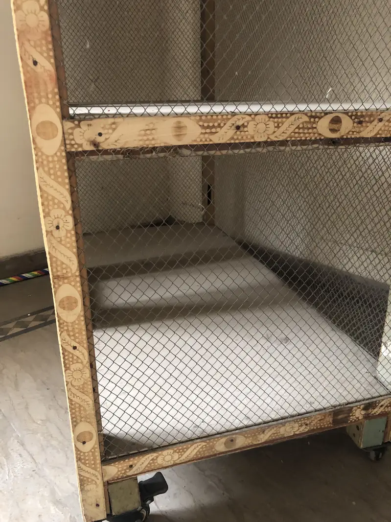 Birds cage — photo 4
