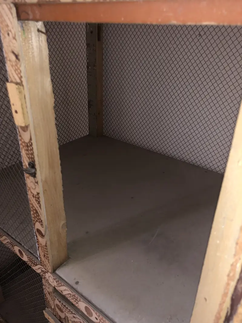 Birds cage — photo 5