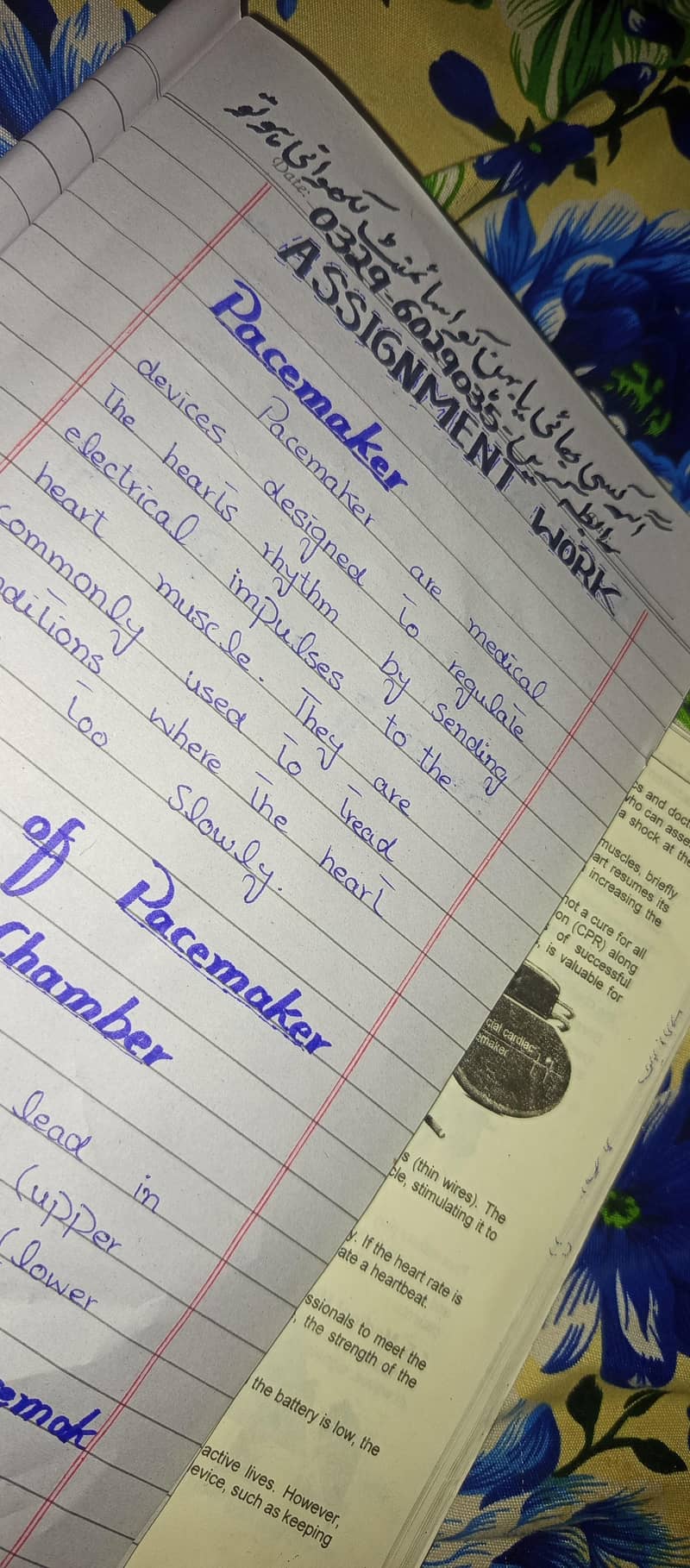 assignment writing 1