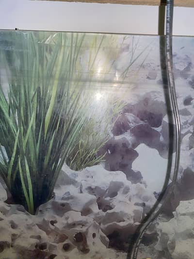 Aquarium