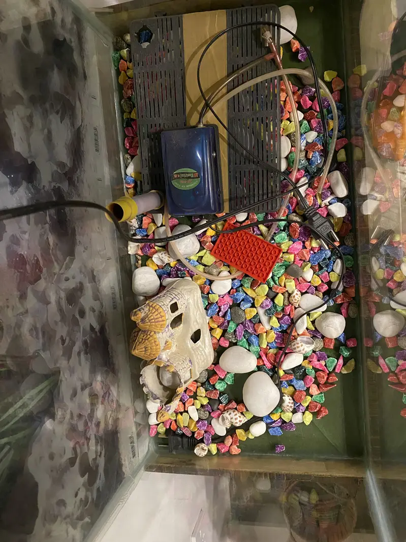 Aquarium — photo 4
