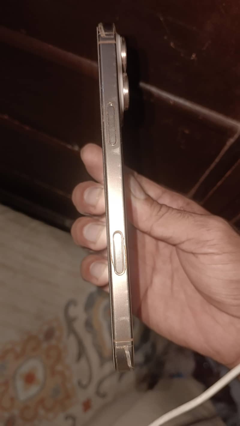 Apple iPhone 16 Pro Max 1