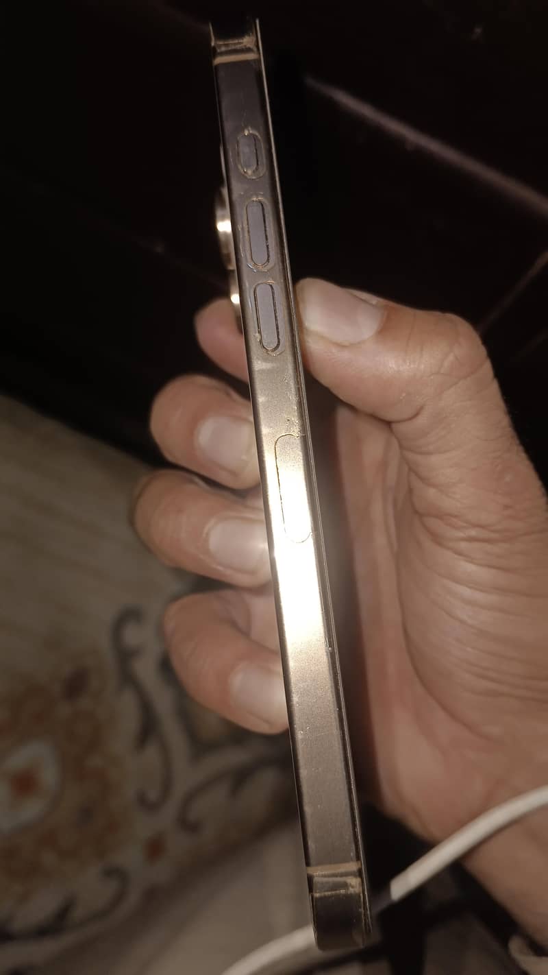 Apple iPhone 16 Pro Max 2