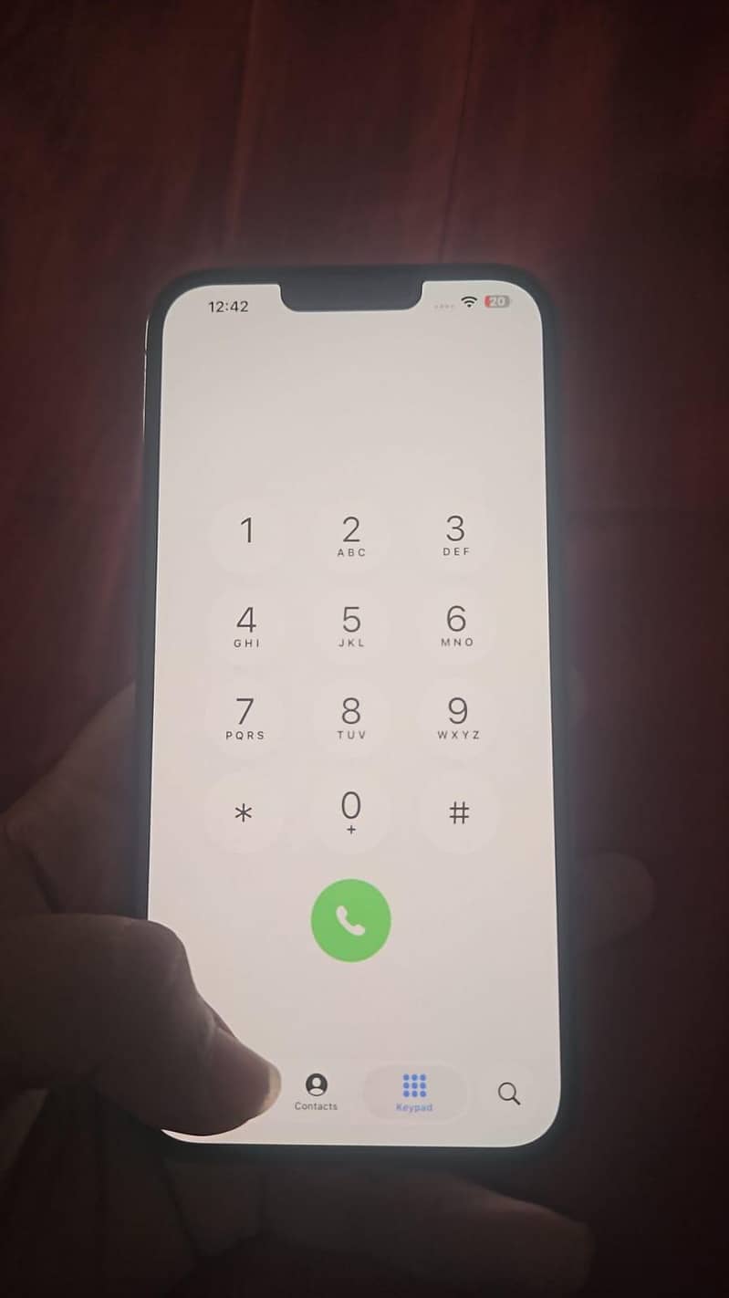 Apple iPhone 13 Pro Max 1