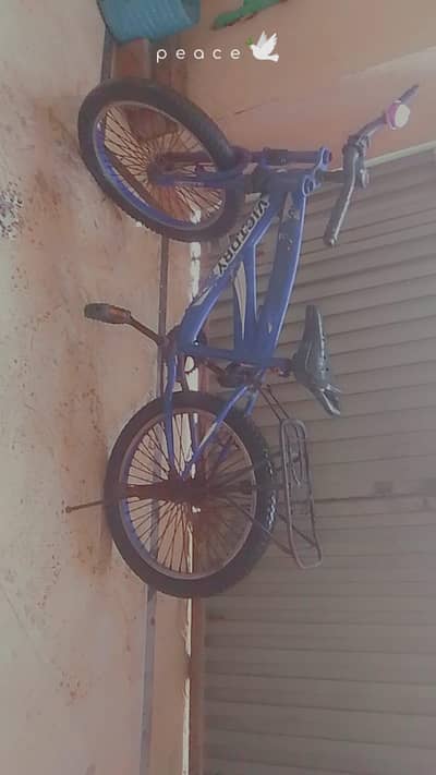 Bicycle contact number 03007616230