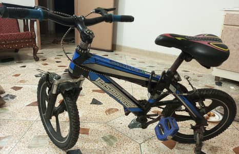 Bicycle