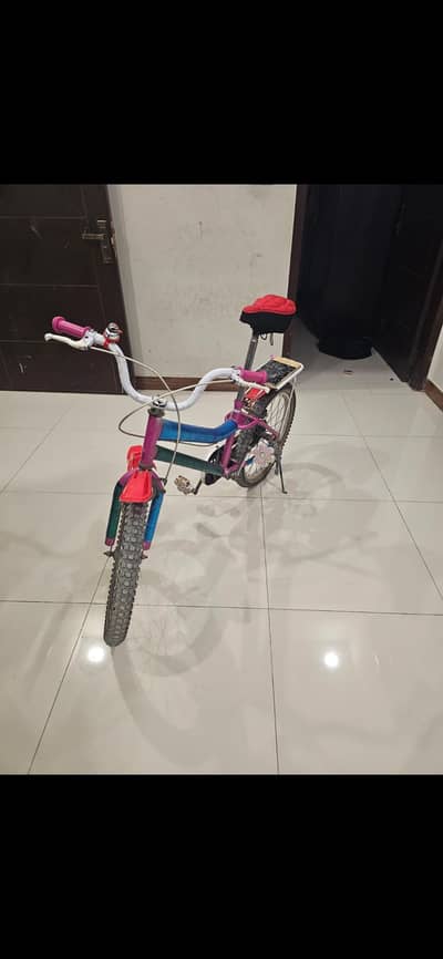 imported cycle 24 inch