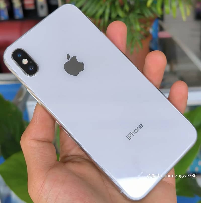 Apple iPhone X 1