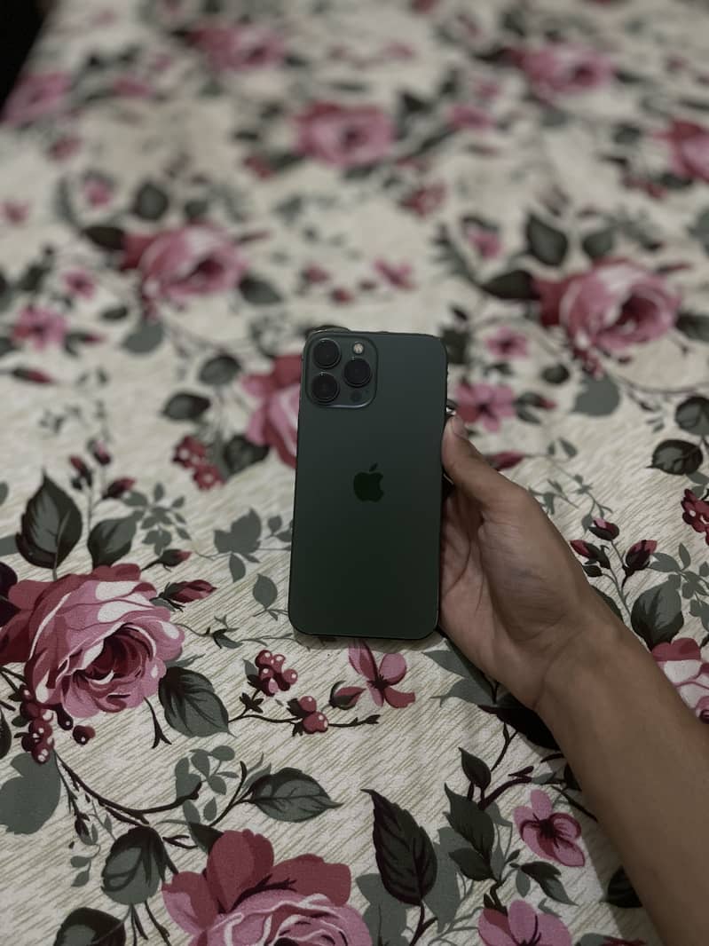 Apple iPhone 13 Pro Max 1