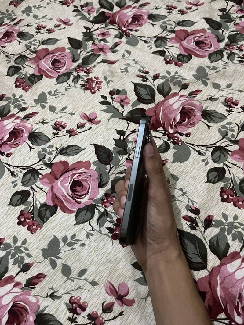 Apple iPhone 13 Pro Max 3