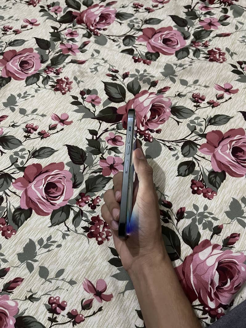 Apple iPhone 13 Pro Max 4