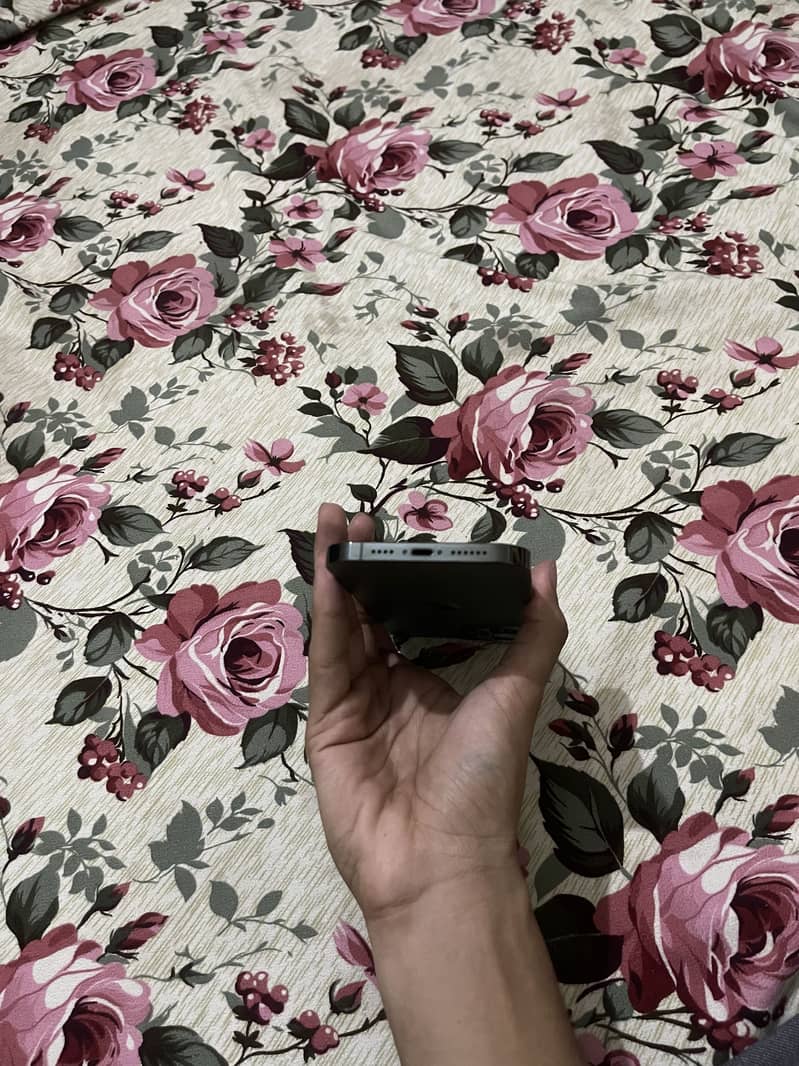 Apple iPhone 13 Pro Max 5