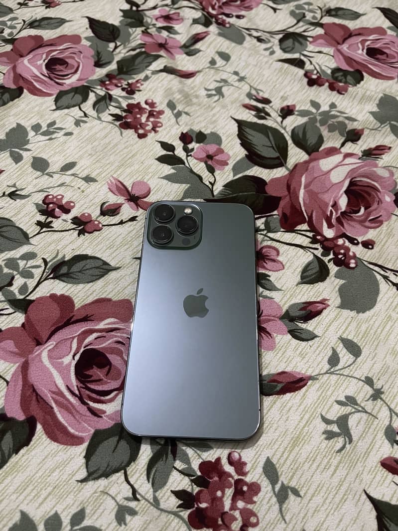 Apple iPhone 13 Pro Max 9
