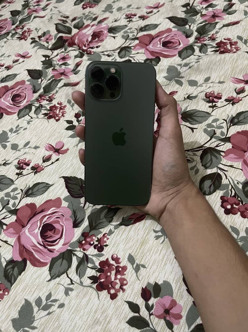 Apple iPhone 13 Pro Max 11