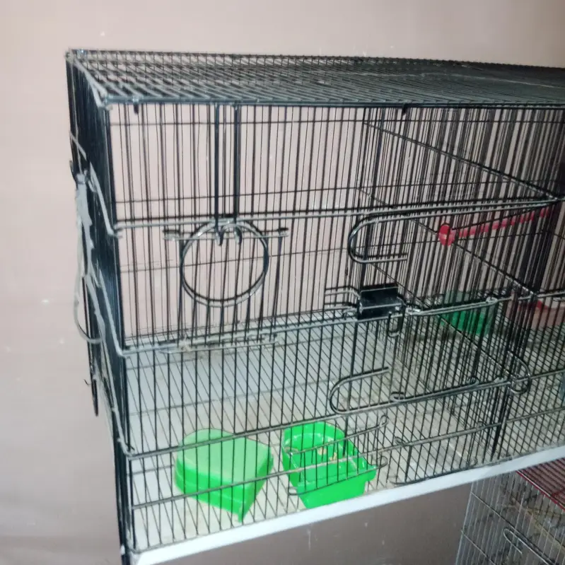cage #pinjra# darba# master cage # double portion