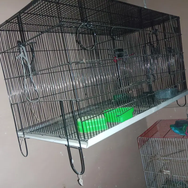 cage #pinjra# darba# master cage # double portion — photo 2