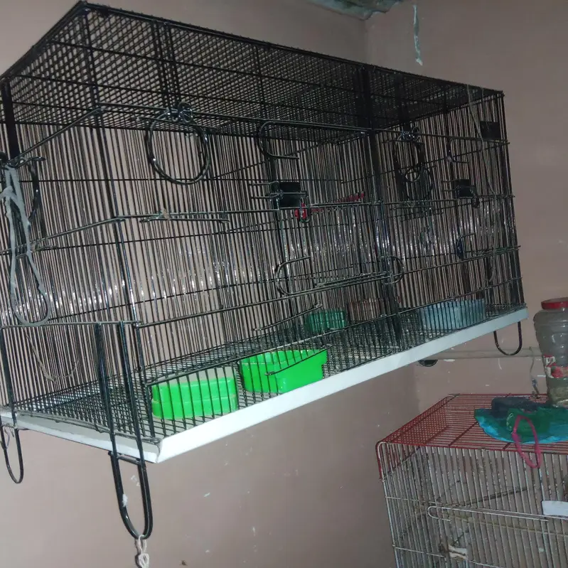 cage #pinjra# darba# master cage # double portion — photo 3