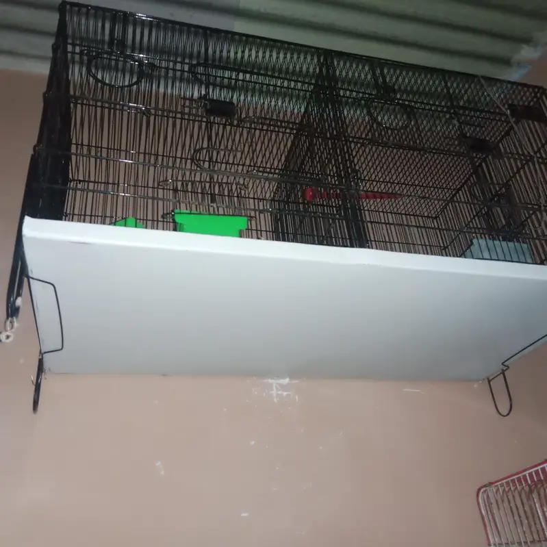 cage #pinjra# darba# master cage # double portion — photo 5