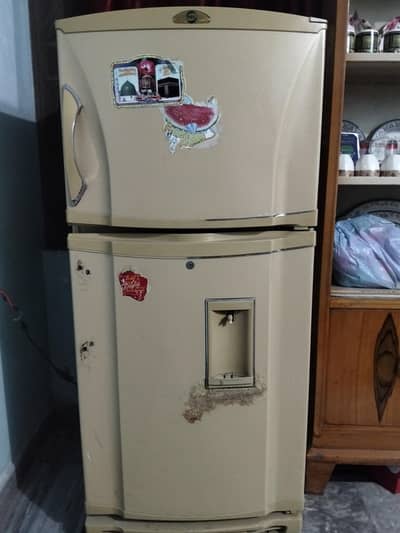 Fridge Full siza
