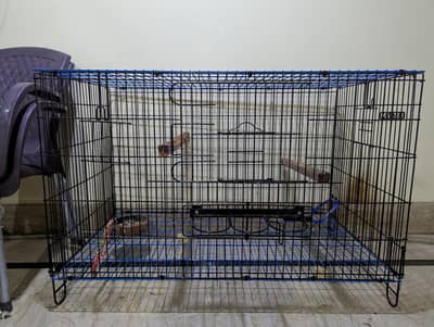 folding cage best for ringneck pahari r grey breeding purpose