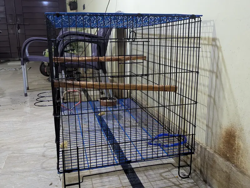folding cage best for ringneck pahari r grey breeding purpose — photo 4