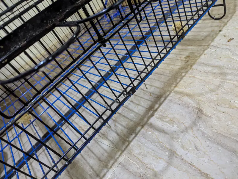 folding cage best for ringneck pahari r grey breeding purpose — photo 6