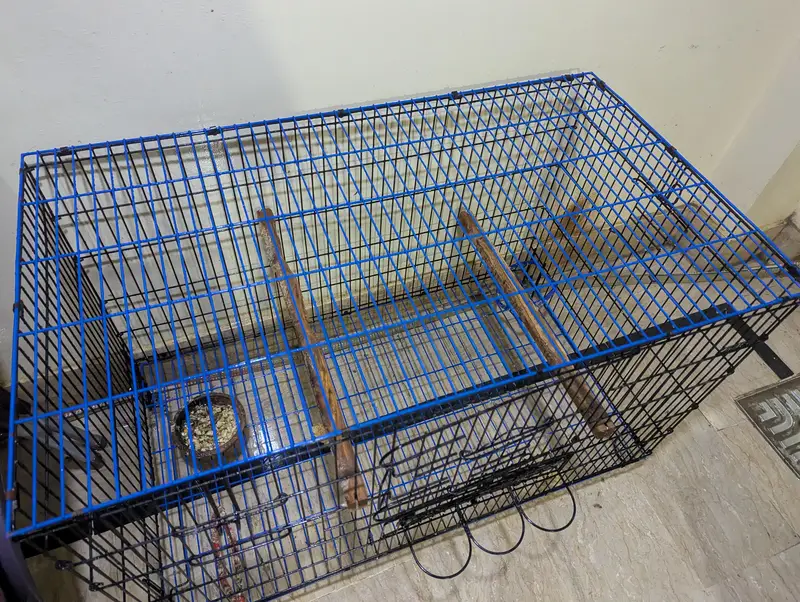 folding cage best for ringneck pahari r grey breeding purpose — photo 7