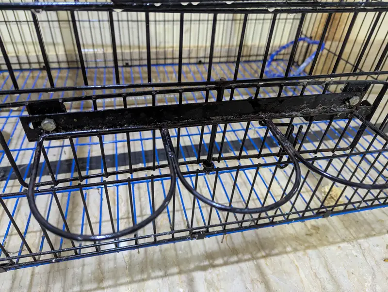 folding cage best for ringneck pahari r grey breeding purpose — photo 8