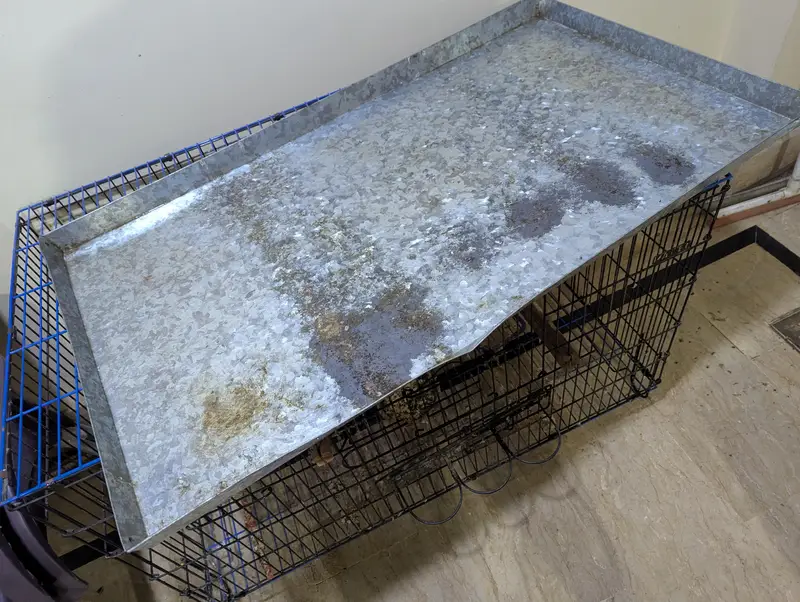 folding cage best for ringneck pahari r grey breeding purpose — photo 9