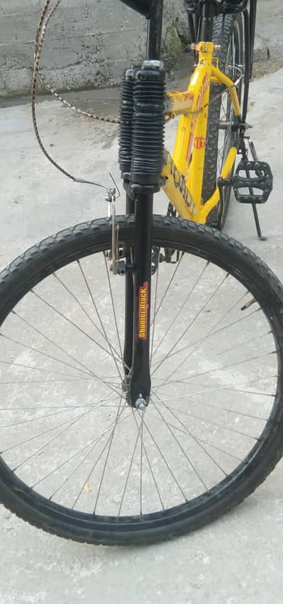 ROADY BRAND CYCLE FULL SIZE LOOKS LIKE NEW