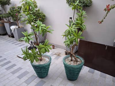 ceramic and fibre planters/pots