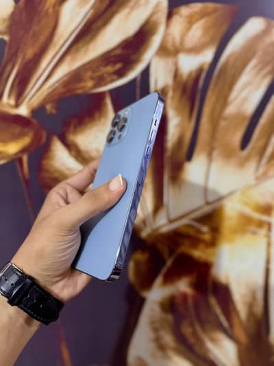 Apple iPhone 13 Pro Max Dual PTA