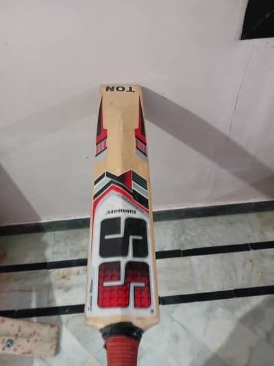 hardball cricket bat