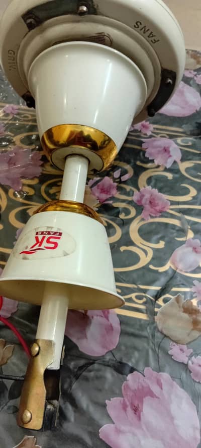 Ceiling Fan
