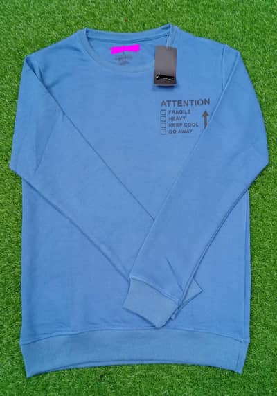Mens' sweatshirt - only for wholesale