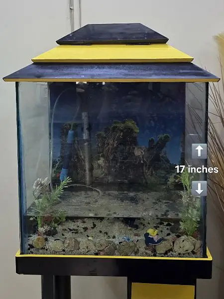 slightly used about 3 months aquarium — photo 2