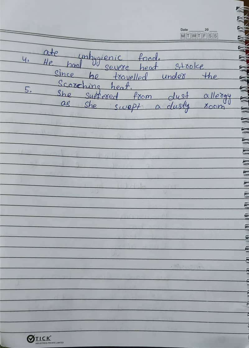 Handwritten & Digital Assignment Services 12