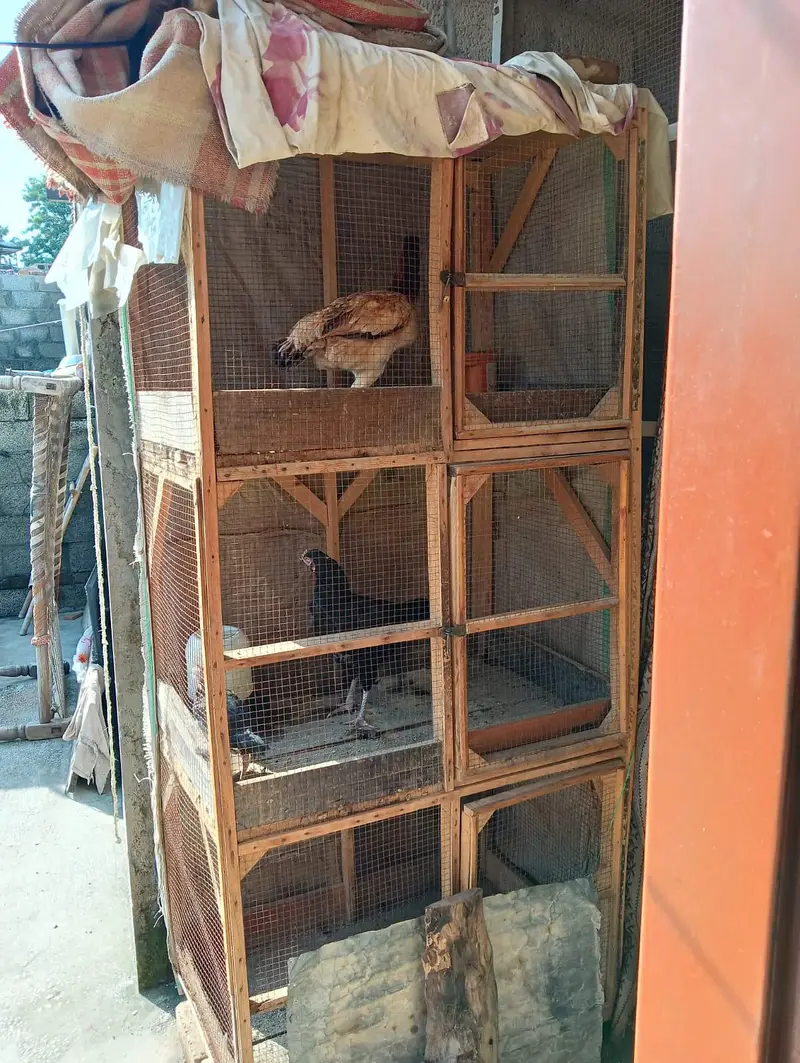 Wooden Cage — photo 2