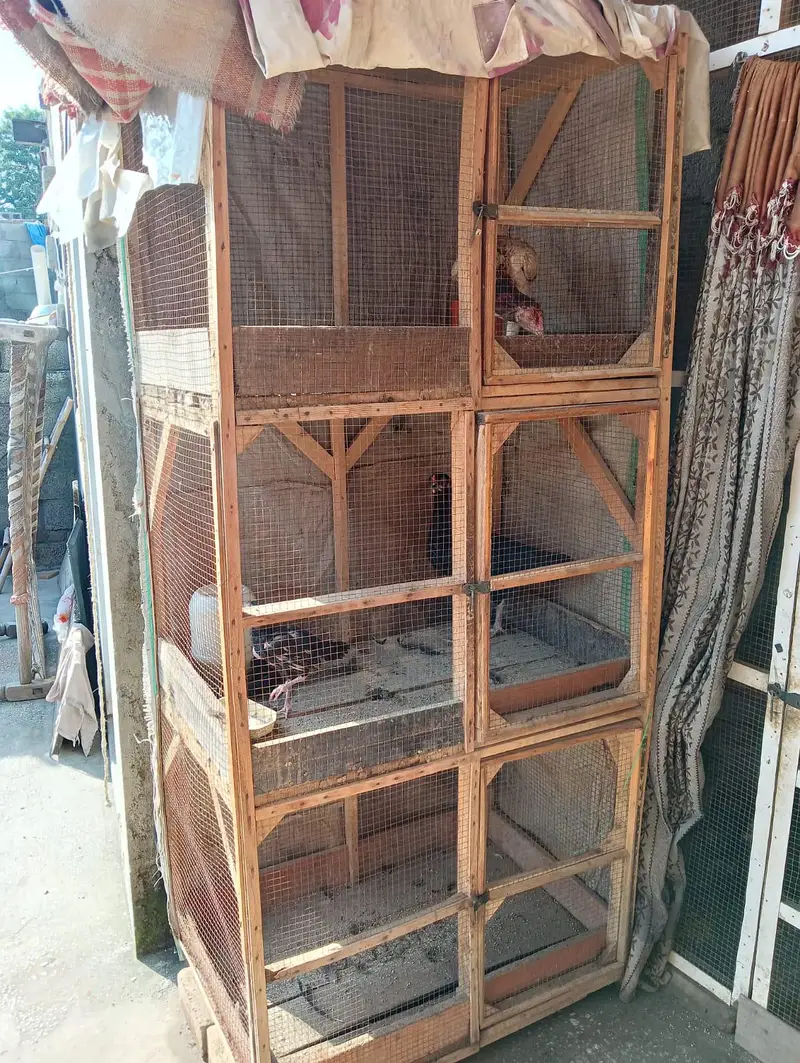 Wooden Cage — photo 3