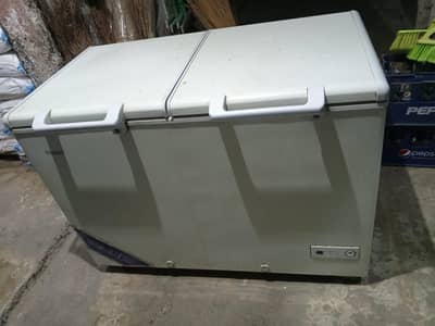 d freezer double door