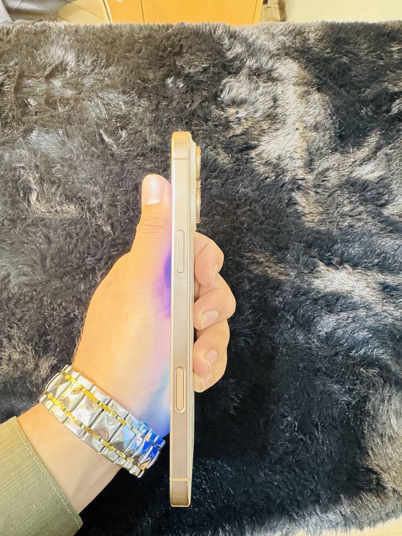 Apple iPhone 16 Pro Max 1