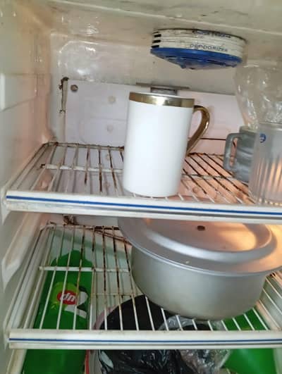 Fridge