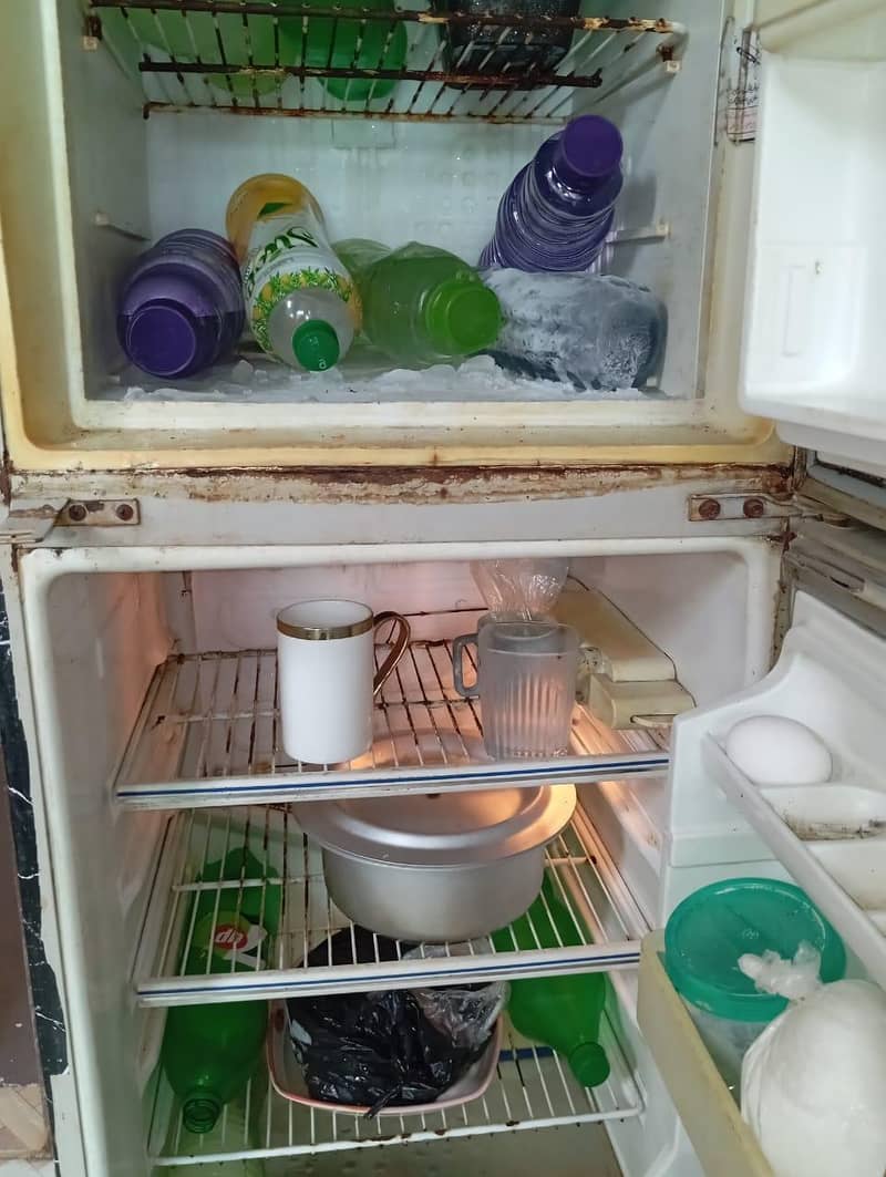Fridge 1