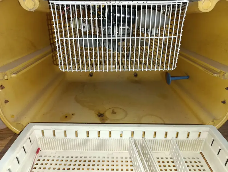 Vintage Incubator — photo 5