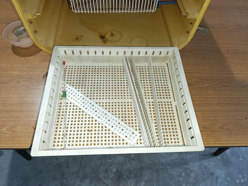 Vintage Incubator — photo 7