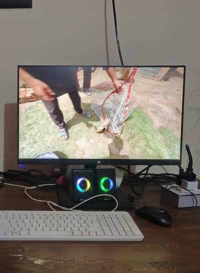 23 Inch LED HP Monitor - Excellent Condition | HDMI/VGA