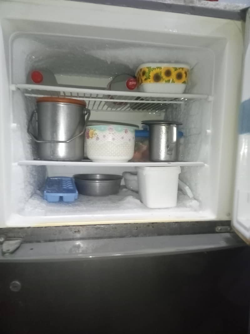 Electrolux excel large size 3