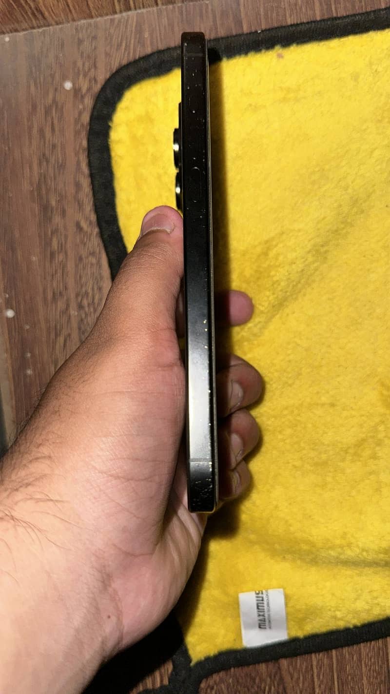 Apple iPhone 16 Pro Max 2